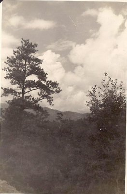 9 1.jpg