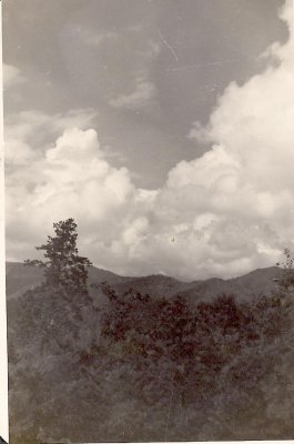 9 2.jpg