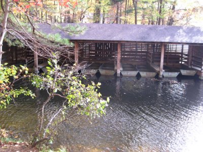 IMG_1873.JPG