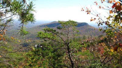 IMG_1900.JPG