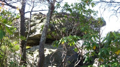 IMG_1913.JPG