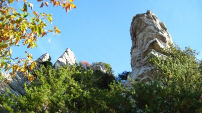 IMG_1945.JPG