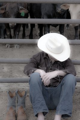 cowboyhalo.jpg