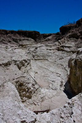 PAD-7-17-09.jpg