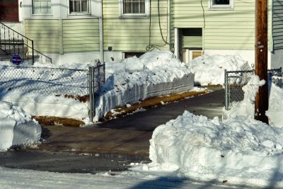 SDIM1235-ly.jpg