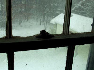 Winter Scenes 2010