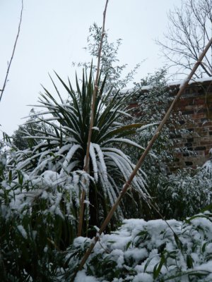 g1/76/396076/3/112221402.W62kJg1s.jpg
