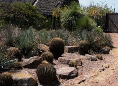 Jardn Botanico, El Charco del Ingenio, San Miguel de Allende, Mxico