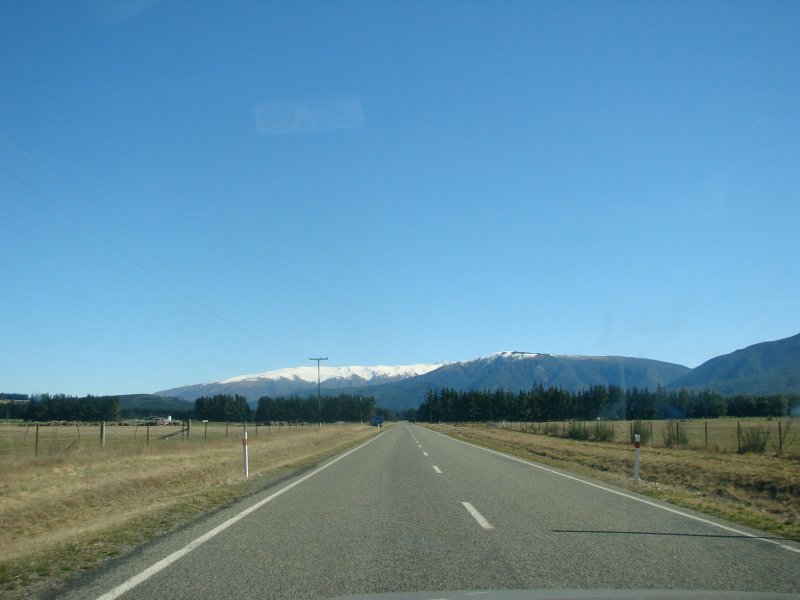 road in Kiwi country