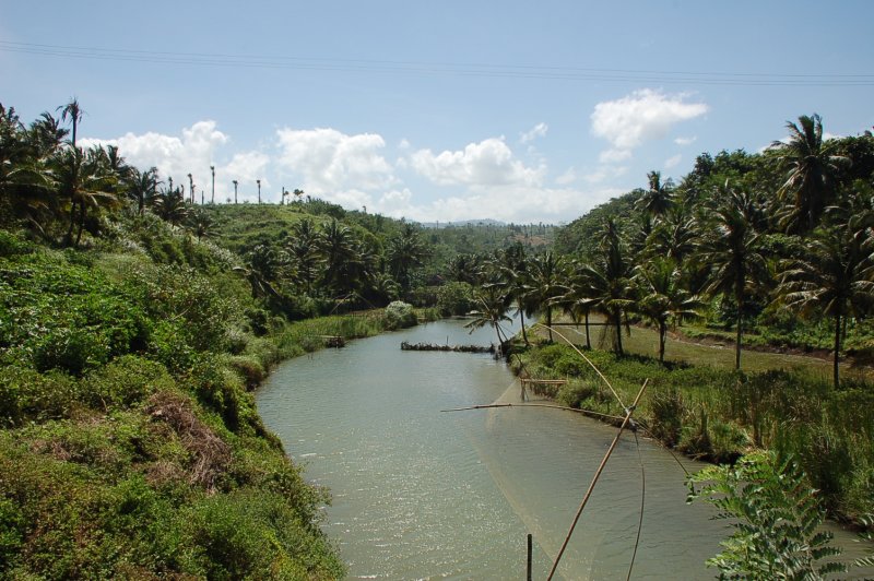 salah satu anak sungai - slow moving river