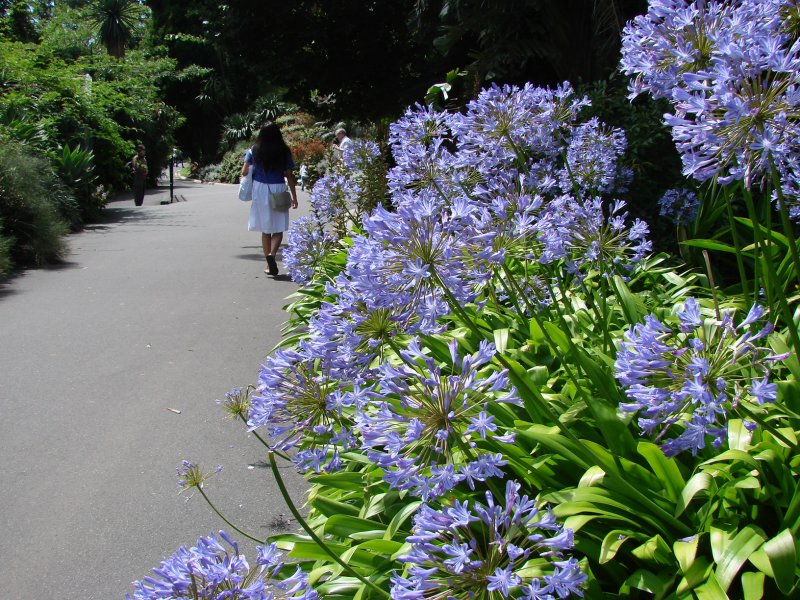 Botanical Garden