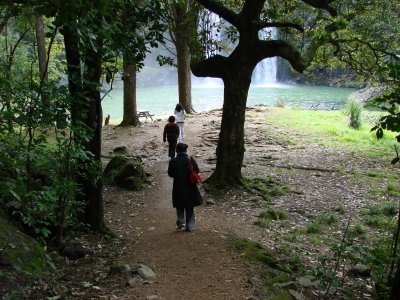 Whangarei Fall, North Island