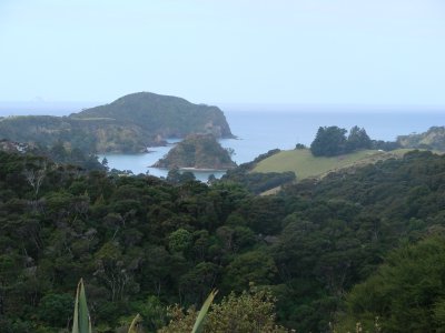 A small island in front Matapouri