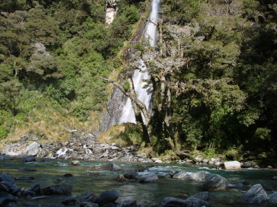 Thunder Creek Fall - near Makarora
