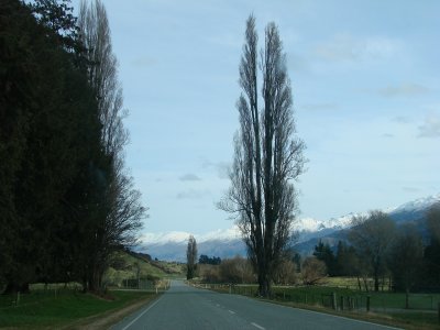 south island road