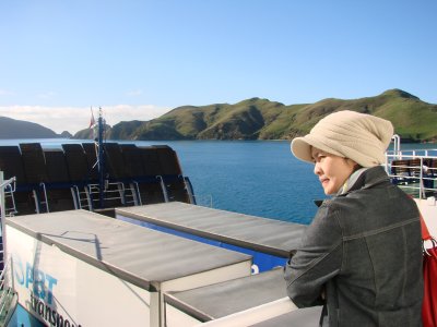 Ferry entering the picton