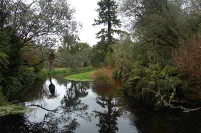 Trout Center of Tongariro