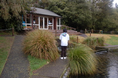 Trout Center of Tongariro