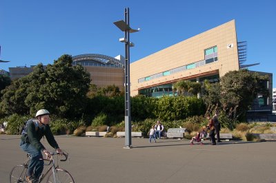 Te Papa Museum