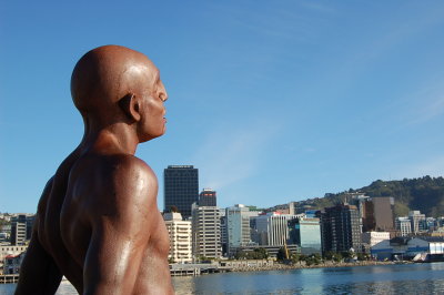 Wellington Harbour