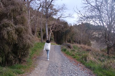 Gravity Canyon, Taihape