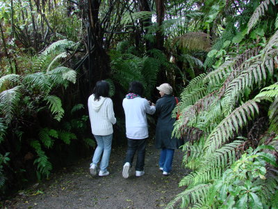 Waimangu entrance