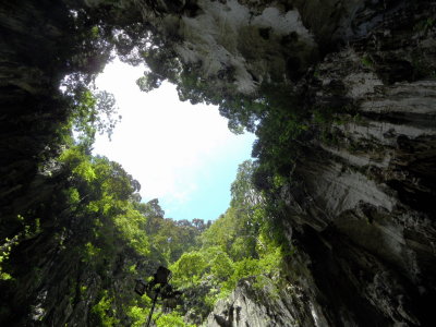 looking upward of vertical sinkhole in Batu Cave