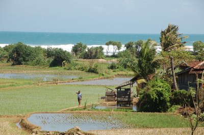 sudut lain saha di pantai