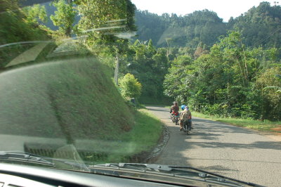 suasana hijau banget