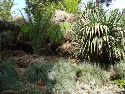 Botanical Garden