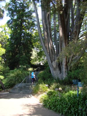 Botanical Garden