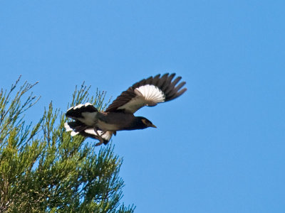 g1/76/426376/3/109443540.Ozz18nm6.jpg