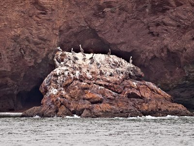 Pelican Rock _9203523.jpg