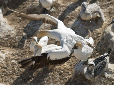 Landing _2045722.jpg