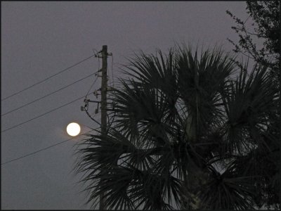 First Light Moon.jpg
