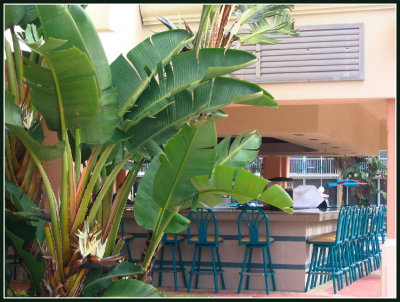 bar.jpg
