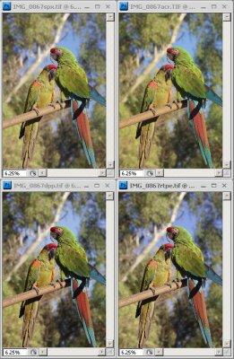 feather_detail_versus_raw_converters