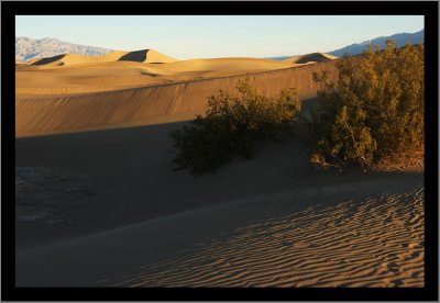 Sand Dune #2