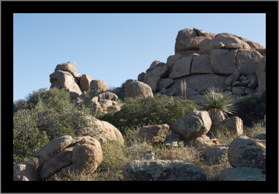 Typical Boulders/Rocks #3