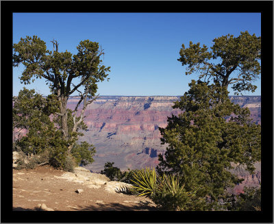 South Rim #44