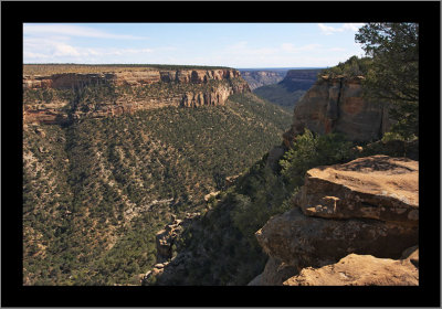 Canyon #1 View