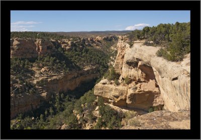 Canyon #2 View