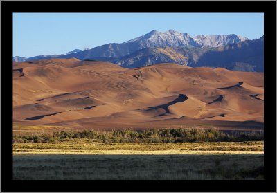 Dunes Up Close