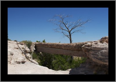 Agate Bridge