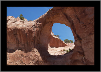 Window Rock Arch