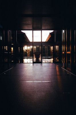 53110025.jpg