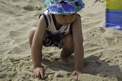 Studland Beach
