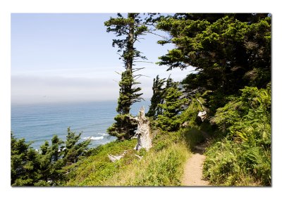 Ecola State Park Hike