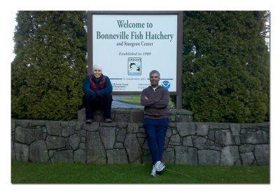 Fish Hatchery Group 3.jpg