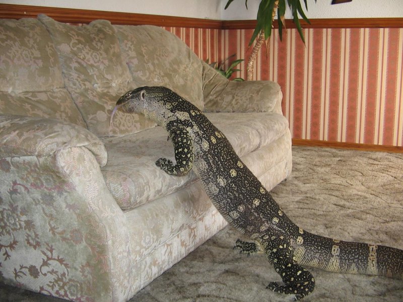 big ornate 2.jpg